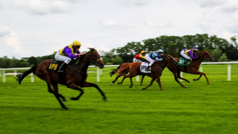 Horse race with VP8, H.264, VP9, and AV1 replacing the race numbers on the horses